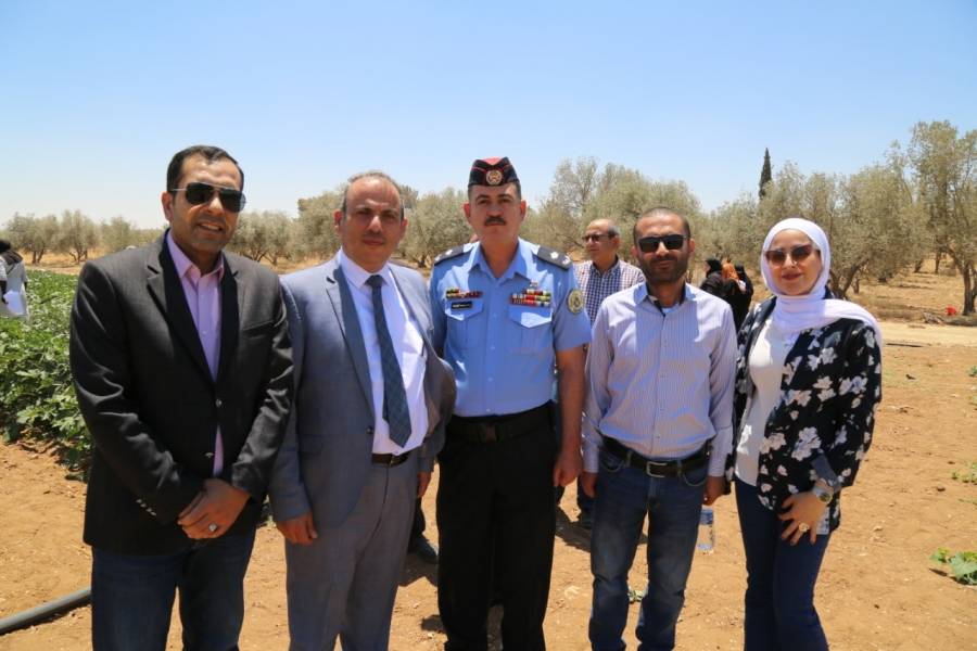 الوطني للبحوث الزراعية ينفذ بحوث الخضار بالشراكة مع المزارعين