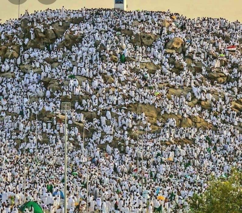 كبار العلماء ورئاسة الحرمين توجهان رسالة للحجاج