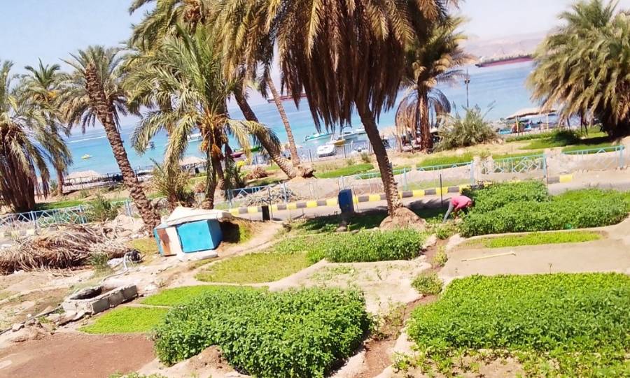 برنامج أردننا جنة يستأنف رحلاته دعما للسياحة الداخلية