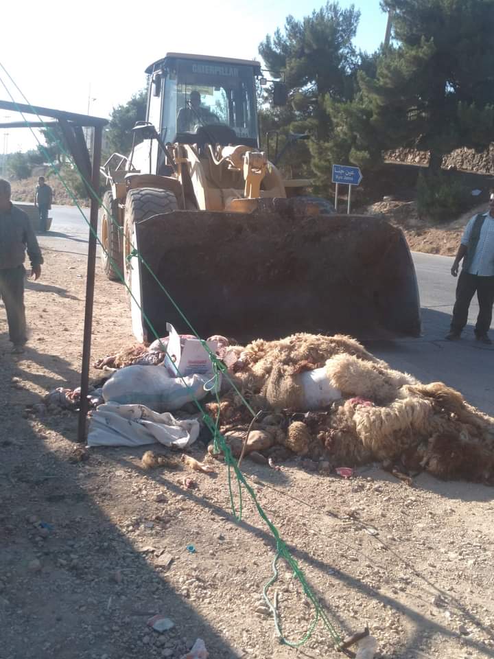 بلدية عجلون تواصل القيام بدورها الخدمي والبيئي