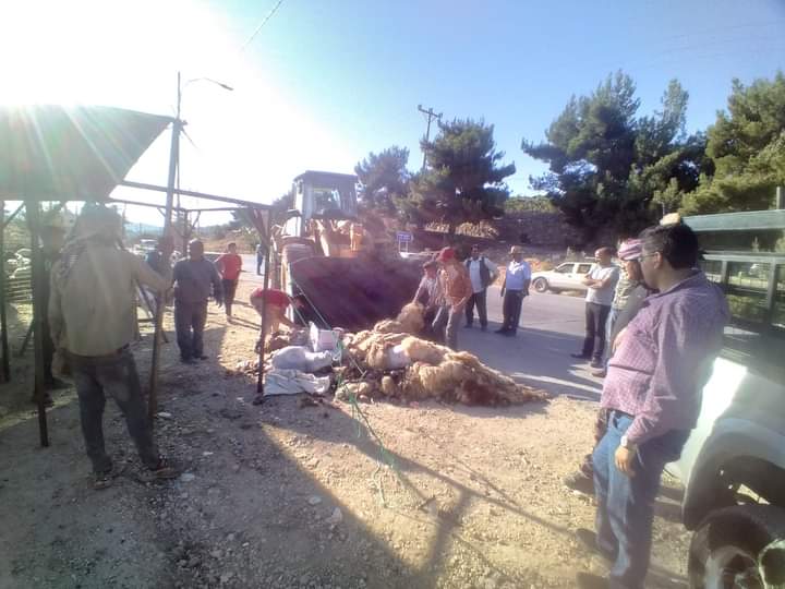 أمانة عمان: 25 مخالفة لمحال لم تلتزم بالذبح بالأماكن المخصصة