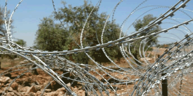 مستوطنون يعتدون على أراضي الفلسطينيين شمال شرق رام الله