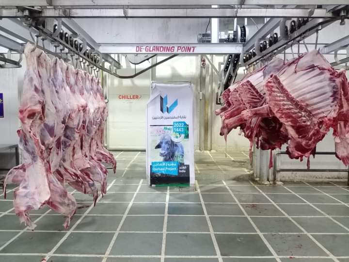 انتهاء مرحلة ذبح الأضاحي لحملة أضحيتك طاعة لربك في نقابة المهندسين