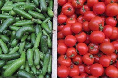 أسعار الخضار والفواكه محليا اليوم