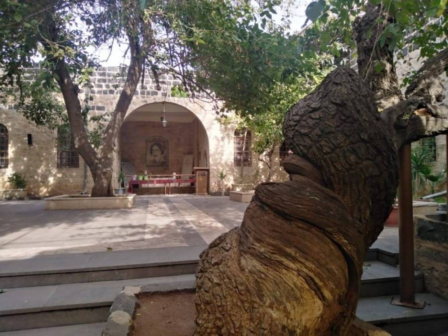 النجار: سنرمم بيت عرار