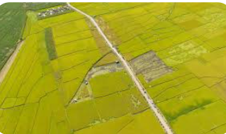 الصين: 147.39 مليون طن من الحبوب الموسم الحالي