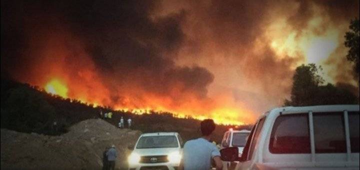 المغرب: تعبئة فرق الجيش والدرك للسيطرة على حرائق الشمال