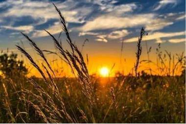 حالة الطقس المتوقعة ليومي السبت والاحد