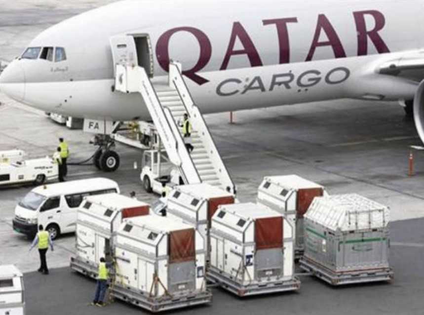 6.3 مليار دولار عوائد الخطوط القطرية من الشحن الجوي 20212022