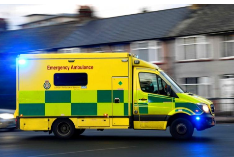 كلاب تنهش امرأة حتى الموت في بريطانيا