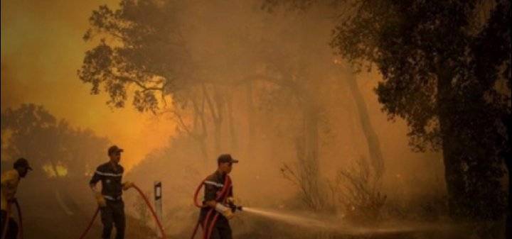 مسؤول مغربي: تمت السيطرة على 50 بالمائة من الحرائق