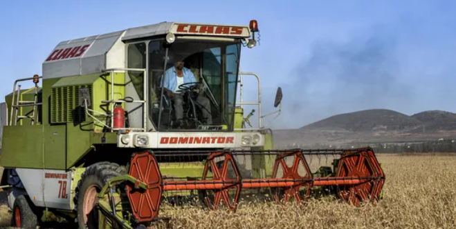 ارتفاع طفيف في أسعار القمح الروسي بعد صعود الروبل