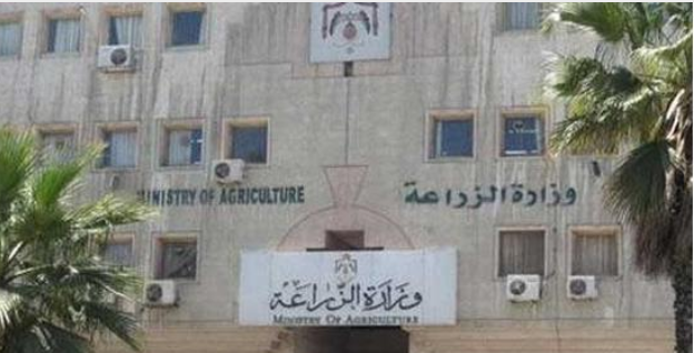 “الزراعة” تدرس التقليل من خسائر صندوق المخاطر