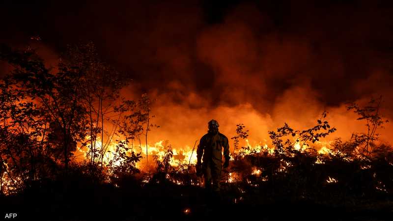 حرارة قياسية وحرائق.. وتحذير من انتحار جماعي للبشرية