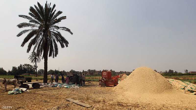 271 مليون دولار تمويلا لمصر لمواجهة أزمة الغذاء العالمية