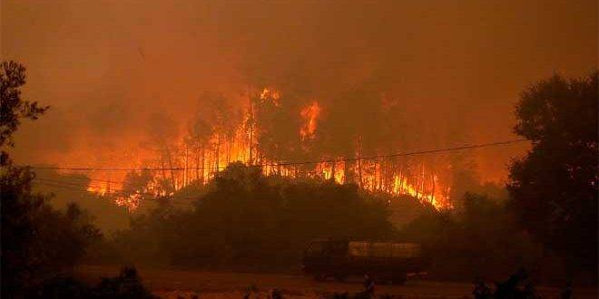 البرتغال: اعتقال أكثر من 50 شخصاً بتهمة إضرام حرائق الغابات