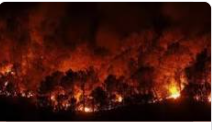 إيطاليا: إجلاءُ أكثر من 100 شخص بسبب حرائق الغابات بتوسكانا