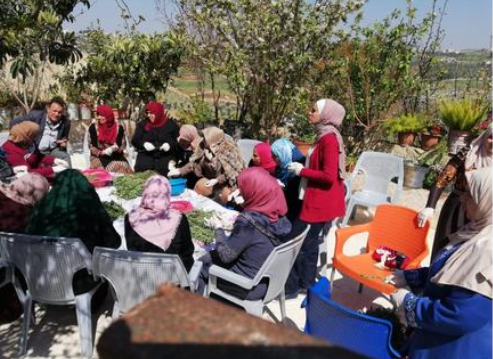 عجلون : 300 مزارع يستفيدون من المدارس الحقليّة في مديريّة ازراعة المحافظة لعام 2022.