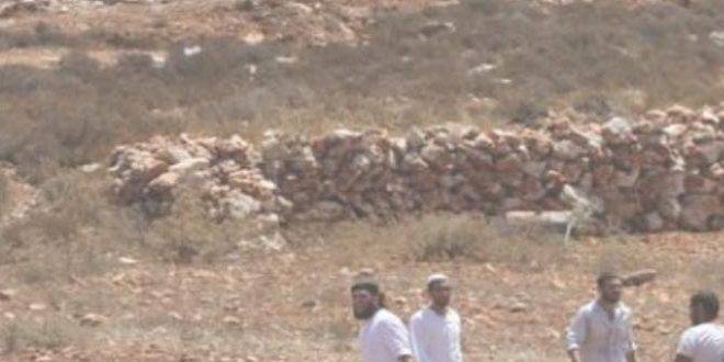 قوات الاحتلال الإسرائيلي تعتقل 13 فلسطينيًا