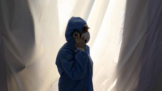 مصر.. تصريحات تحسم الجدل حول ظهور المرض الأسود في البلاد