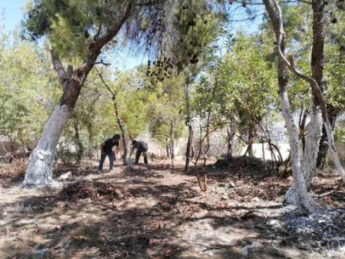 عجلون : جهود استثنائية لمشرف وموظفي المجمع الرياضي