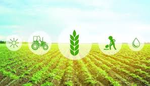 حصاد: إطلاق النسخة الرابعة من برنامج تسريع الأعمال