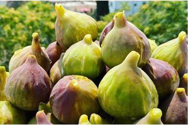 7 دنانير للكيلو .. مدير السوق المركزي يوضح حول سعر التين