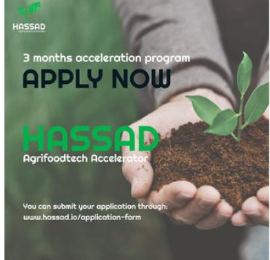 حصاد تواصل دعم الريادة في القطاع الزراعي وتطلق النسخة الرابعة من برنامجها لتسريع الأعمال