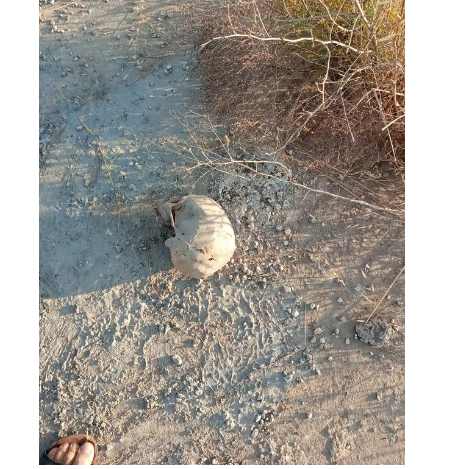 محافظ مأدبا ينفي العبث برفات الموتى