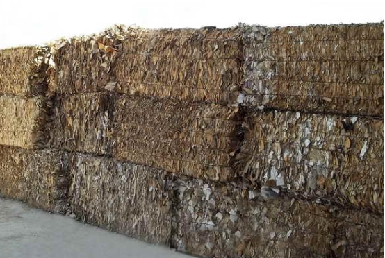 السَّماح بتصدير أصناف الكرتون والورق الهالك دون فرض رسوم تصدير عليها