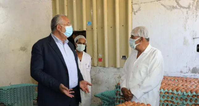 مصر.. خطة حكومية لمواجهة ارتفاع أسعار البيض