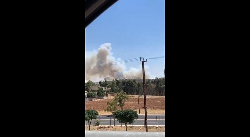 حريق أعشاب وأشجار على طريق المطار