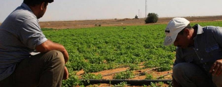 الإقراض الزراعي تقر إمكانية خصم نسبة الأرباح عند التسديد المبكر