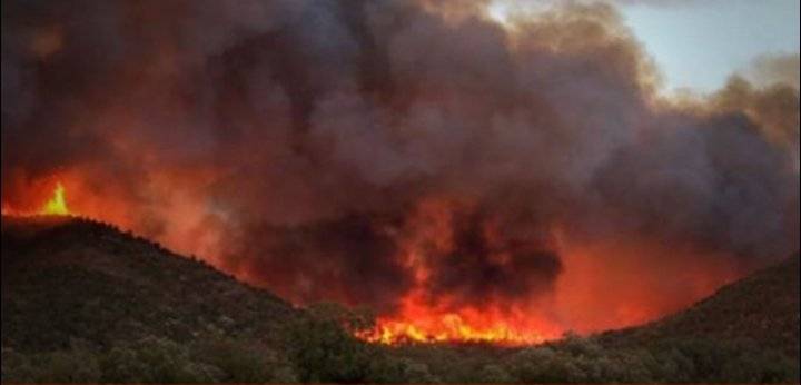 تونس: حريق هائل بزغوان يأتي على 200 هكتار من الغطاء الغابي