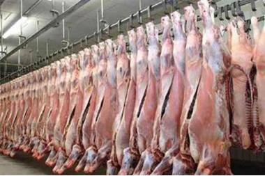 الأمانة: عقوبات مغلظة لمخالفة الاشتراطات الصحية لمحال بيع اللحوم