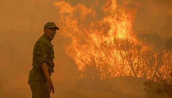 حرائق جديدة تلتهم أكثر من 30 هكتارا من الغابات المغربية