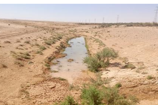 المياه :ضبط اعتداءات في الشونة الجنوبية لتزويد مزارع