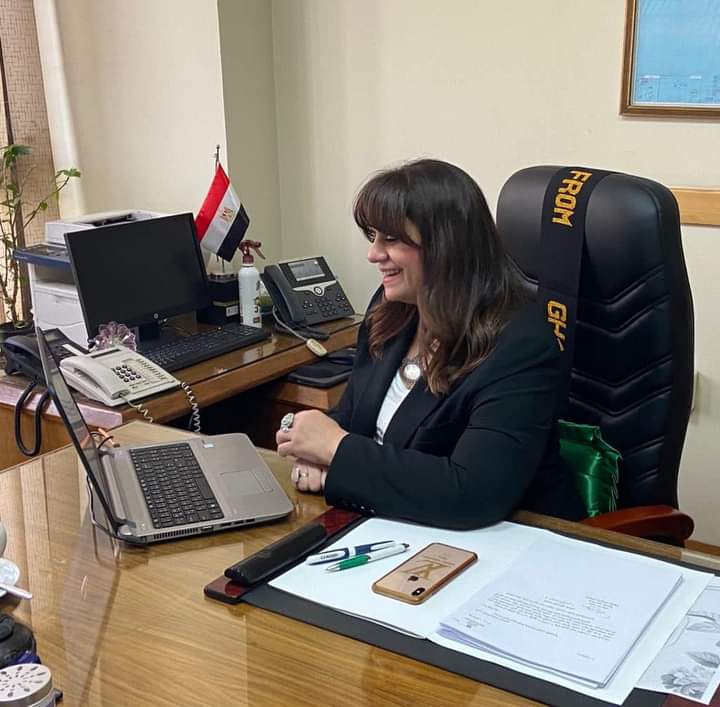 مصر تشارك في اجتماع القمة الاستثنائية لآلية مراجعة النظراء الإفريقية