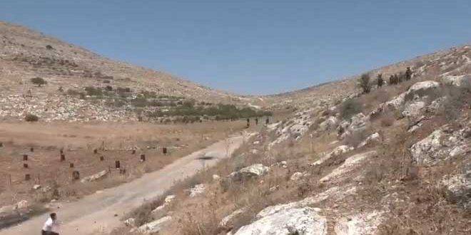 إصابة 17 فلسطينياً جراء اعتداء قوات الاحتلال عليهم بالضفة الغربية