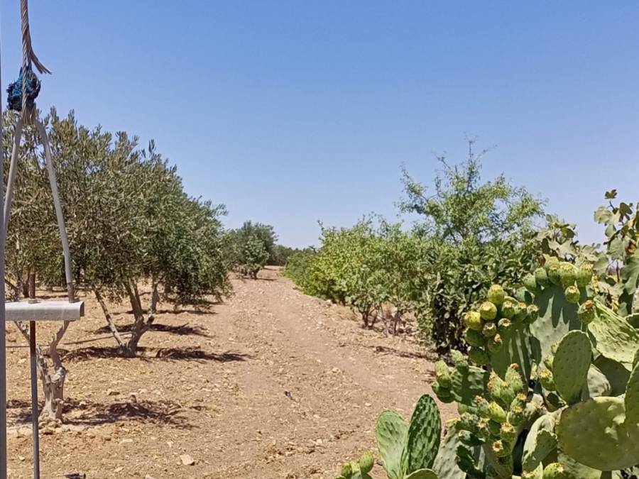 المياه : ضبط اعتداءات كبيرة على خطوط رئيسية في الكرك تزود مزارع وتعبئة صهاريج .... صور 