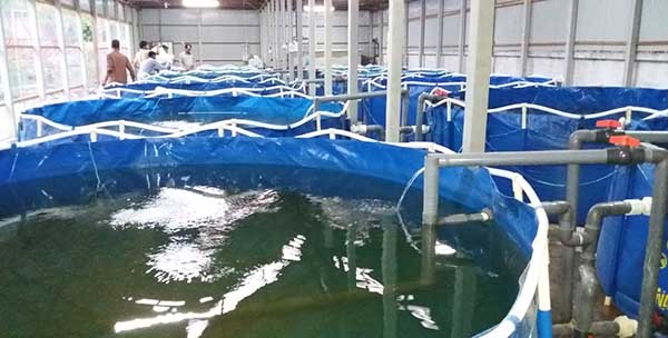 وزير الزراعة يؤكد استدامة دعم قطاع الأسماك