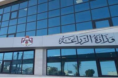 الزراعة: 1.6 مليون دينار مبالغ متوقعة من الحيازات الوهمية