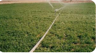 115 مزارعا في المفرق استفادوا من مشروع استصلاح الأراضي