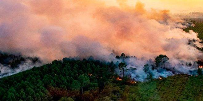 الحرائق في أوروبا تلتهم مساحات كبيرة من الغابات