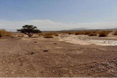 دراسة تؤكد على ضرورة تقنيات الحصاد المائي لإعادة التغذية لحوض وادي عربة