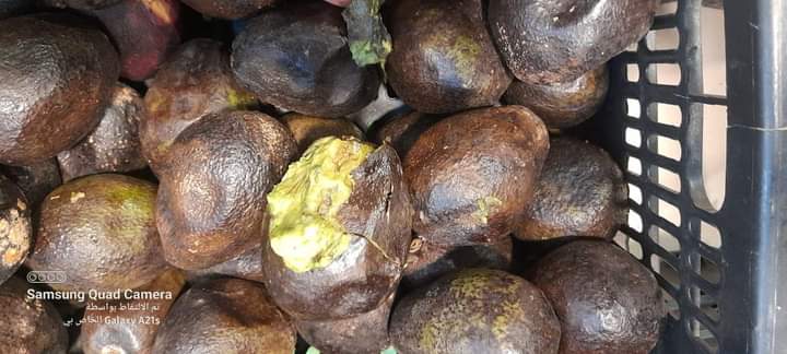 إتلاف 100 كيلو من المواد المعلبة واللحوم المنتهية الصلاحية والتالفة في أحد المؤسسات التجارية في مدينة مادبا