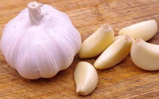 اكتفاء من محصول الثوم في الأردن