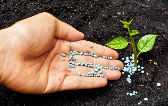 موافقة هندية لإنشاء مصنع فوسفوريك بالأردن