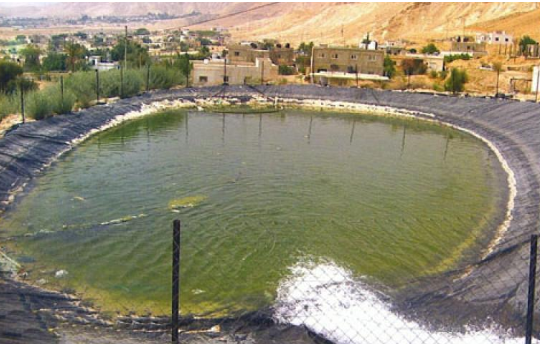 انتشال جثة شاب من داخل بركة بالأغوار