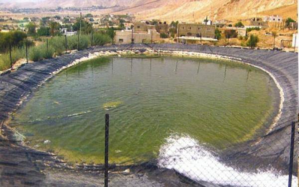 وفاة شاب غرقا في بركة زراعية بالأغوار الشمالية